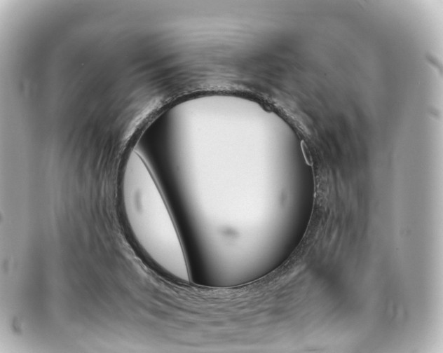 X0000094450015200711081057