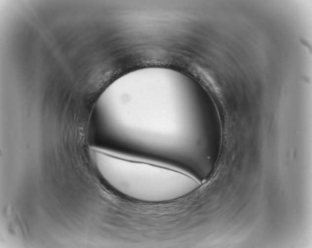 X0000094450017200711081057