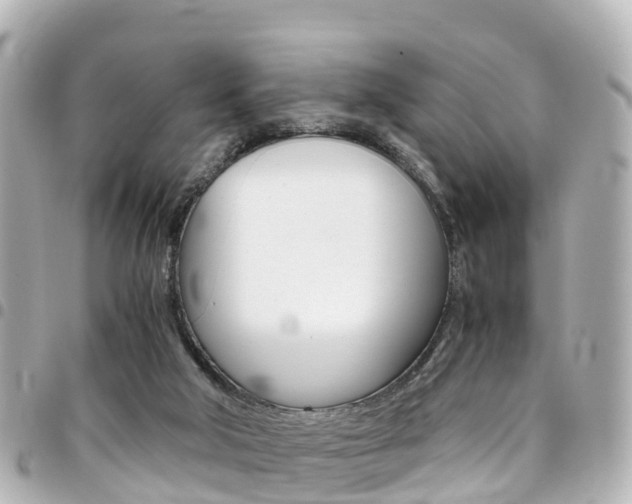 X0000094450018200711081057