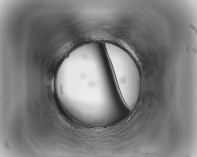 X0000094450019200711081057