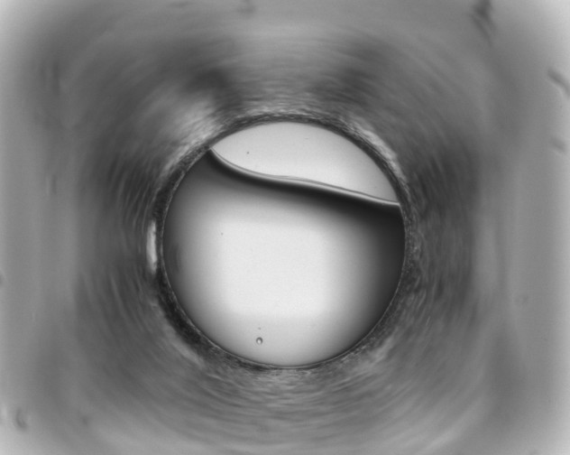 X0000094450020200711081057