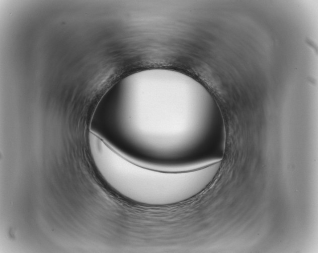 X0000094450021200711081057