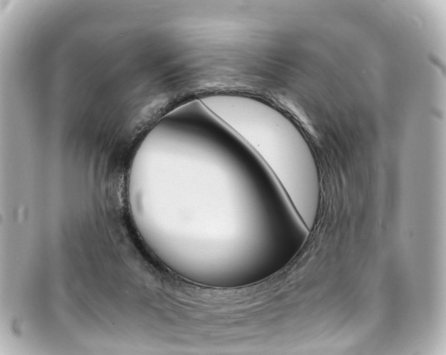X0000094450023200711081057