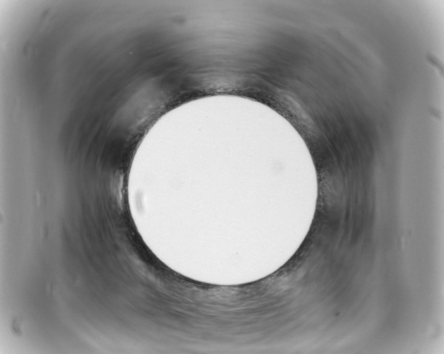 X0000094450024200711081057