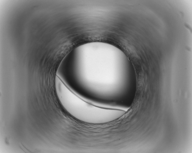 X0000094450025200711081057