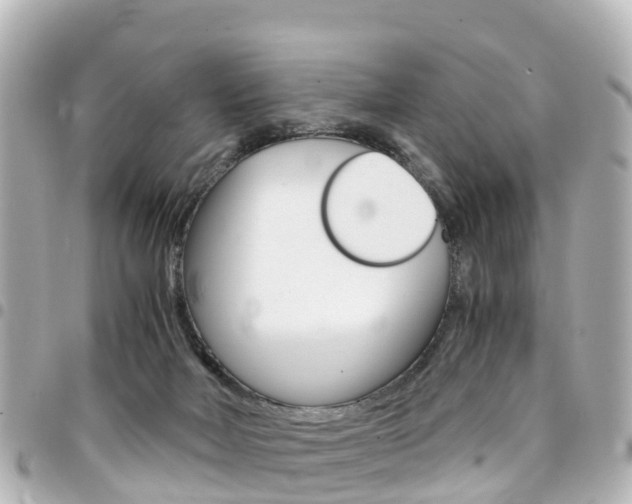 X0000094450026200711081057