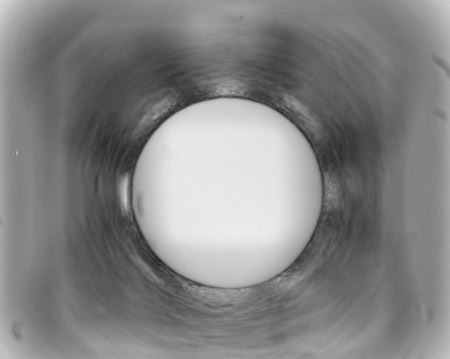 X0000094450028200711081057