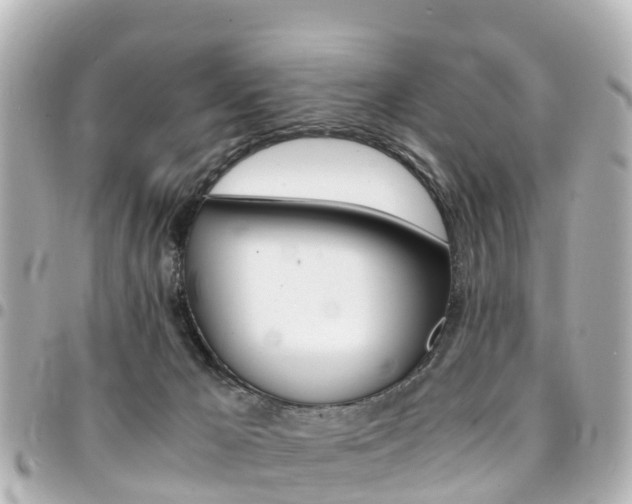 X0000094450029200711081057