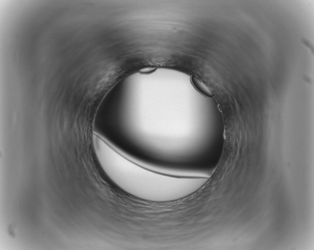 X0000094450031200711081057