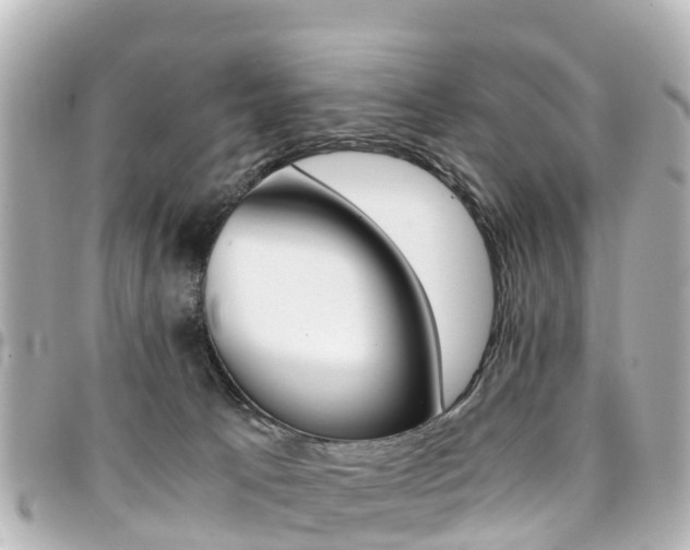 X0000094450033200711081057