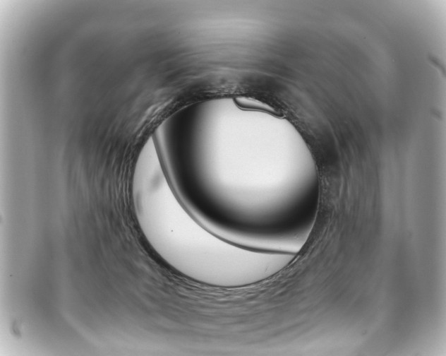 X0000094450035200711081057