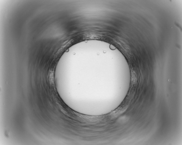 X0000094450036200711081057