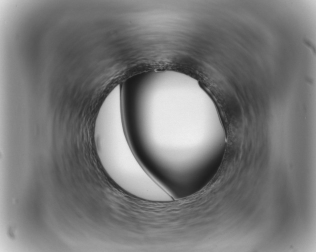X0000094450037200711081057