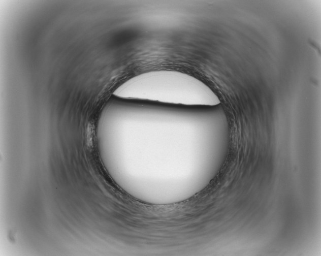 X0000094450038200711081057