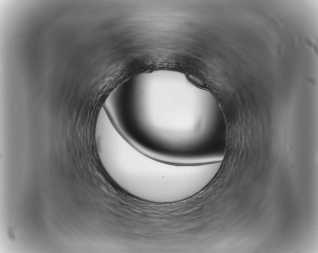 X0000094450039200711081057