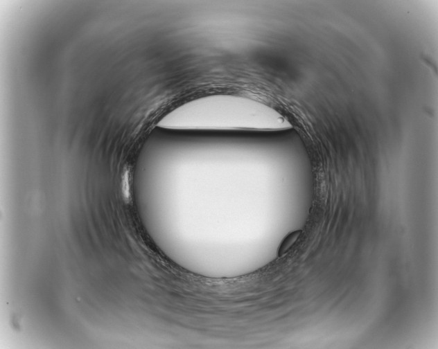 X0000094450042200711081057