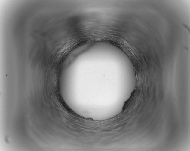 X0000094450043200711081057