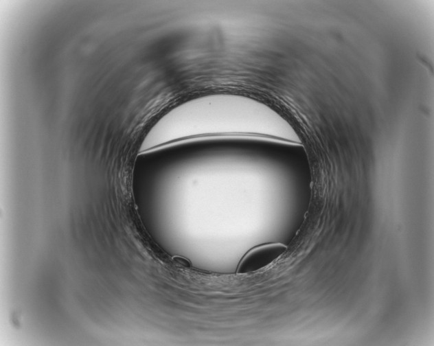 X0000094450044200711081057