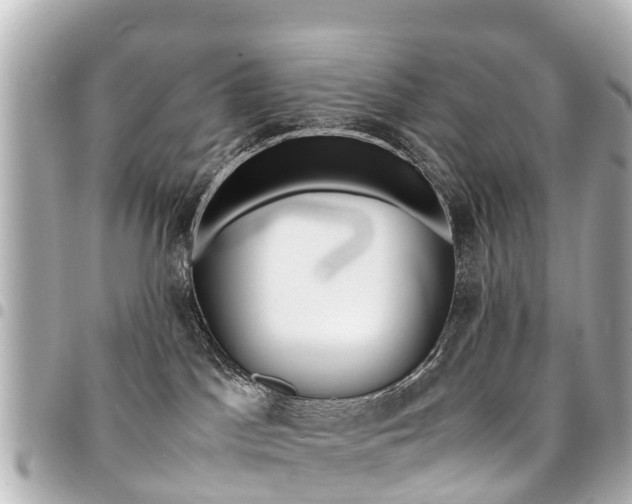 X0000094450045200711081057
