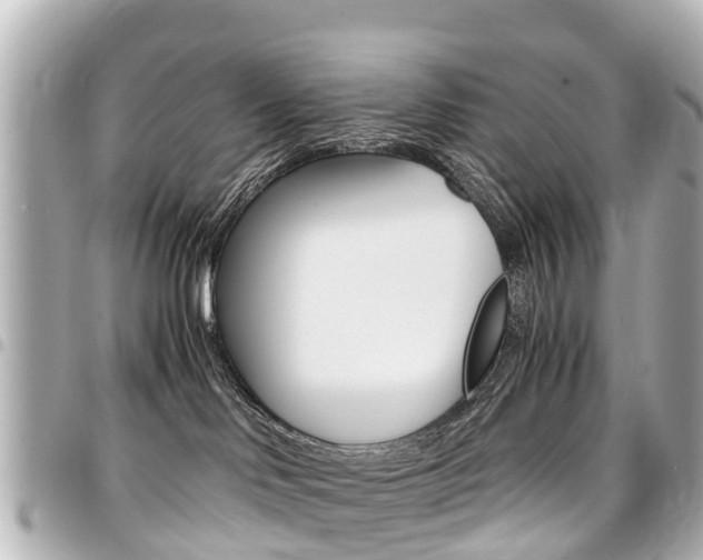 X0000094450046200711081057