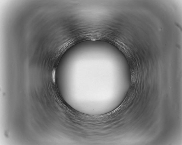 X0000094450047200711081057