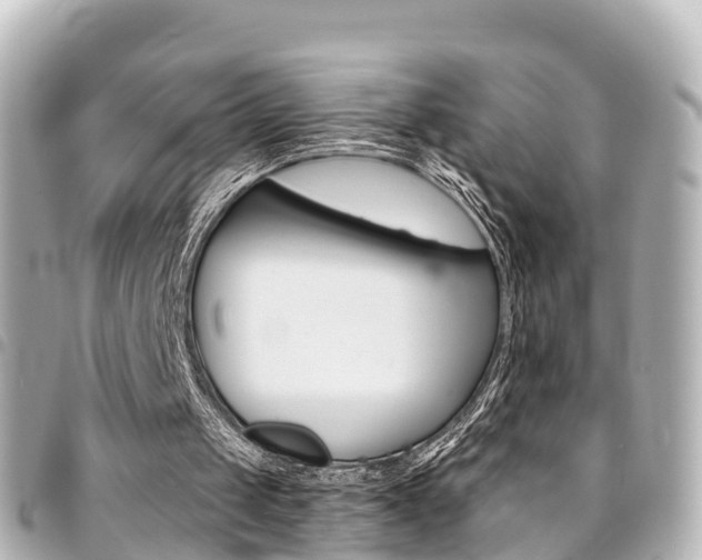X0000094450049200711081056