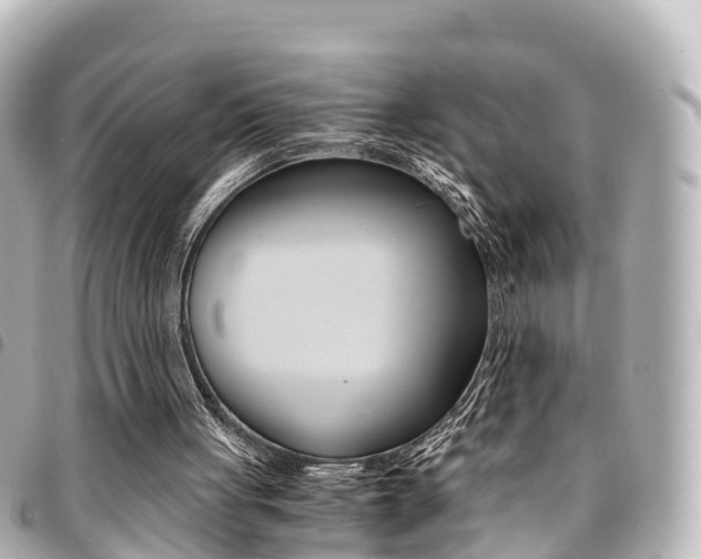 X0000094450051200711081056