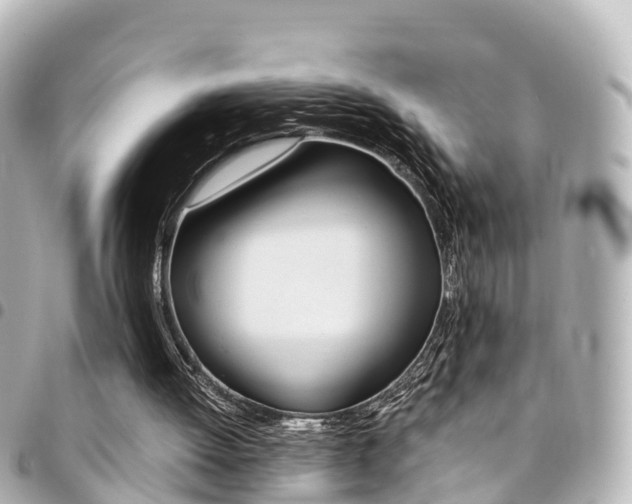 X0000094450052200711081056
