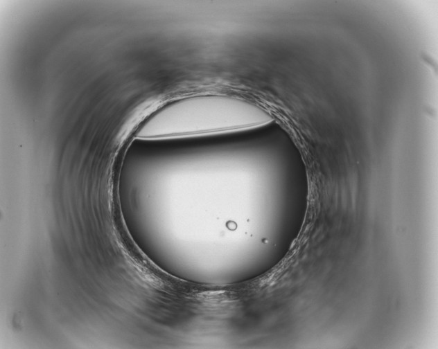 X0000094450054200711081056