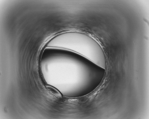 X0000094450055200711081056