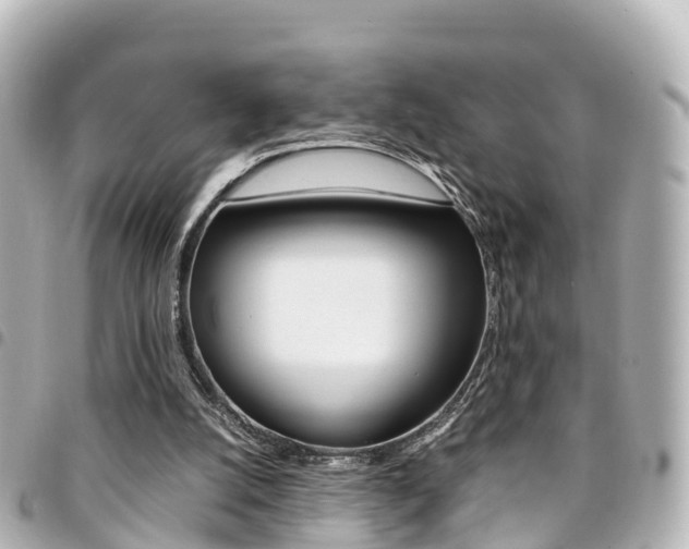 X0000094450056200711081056