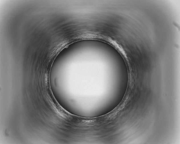 X0000094450057200711081056