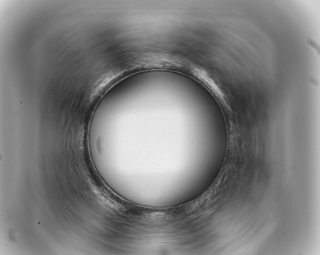 X0000094450058200711081056