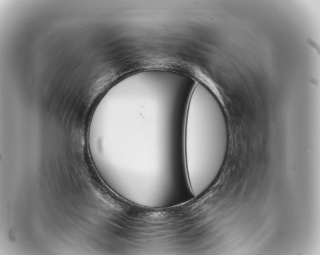 X0000094450059200711081056