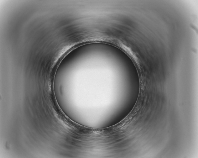 X0000094450060200711081057