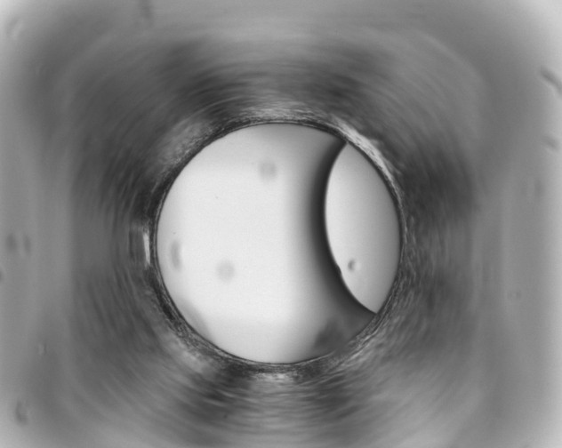 X0000094450061200711081057
