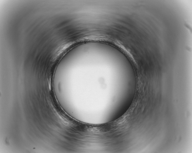 X0000094450062200711081057