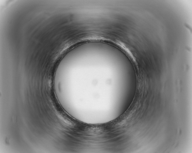 X0000094450063200711081057