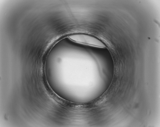 X0000094450064200711081057