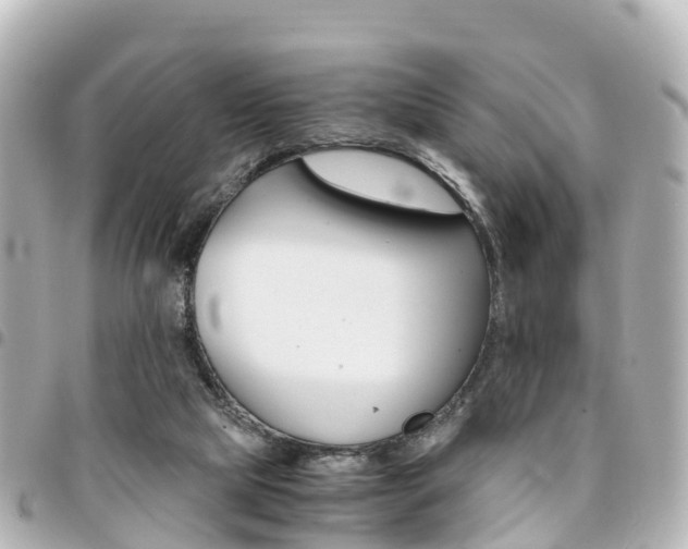 X0000094450065200711081057