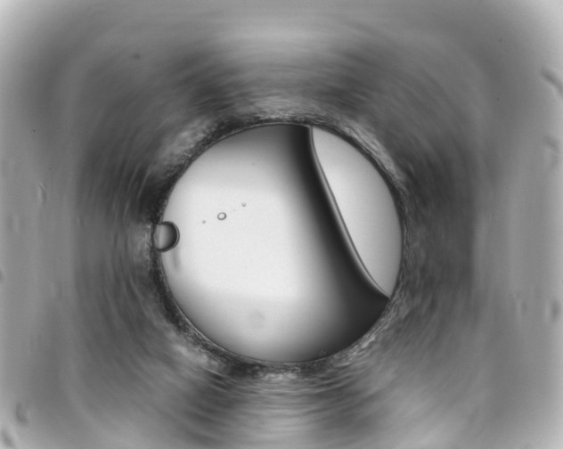 X0000094450066200711081057