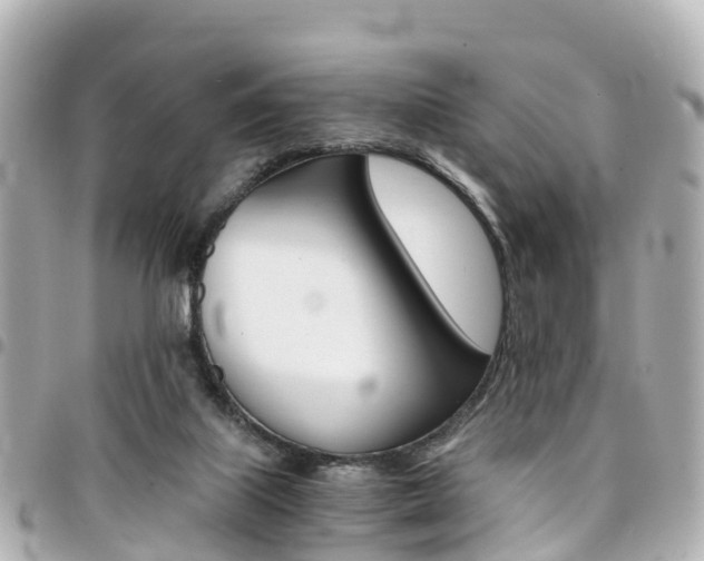 X0000094450067200711081057