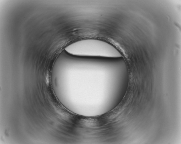 X0000094450069200711081057