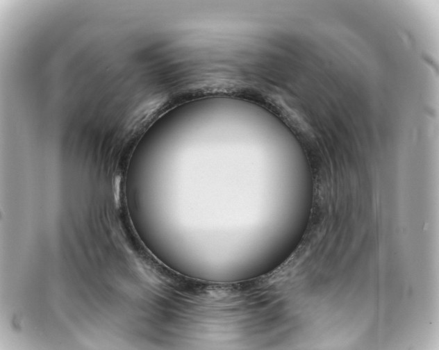 X0000094450070200711081057