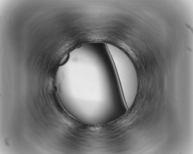 X0000094450071200711081057