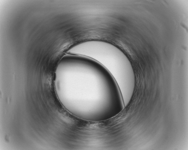 X0000094450072200711081057