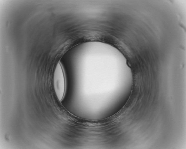 X0000094450073200711081057