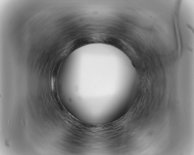 X0000094450075200711081057