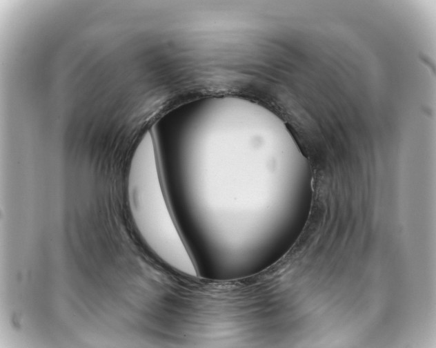 X0000094450076200711081057