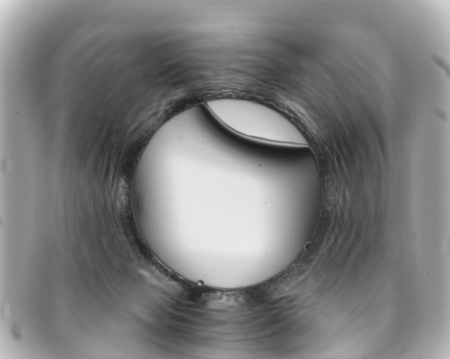 X0000094450077200711081057
